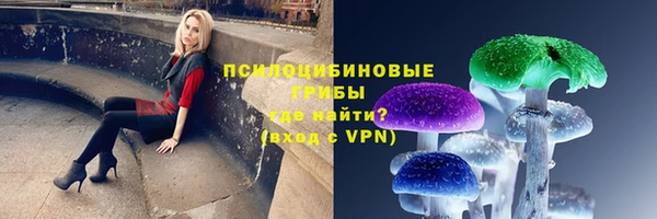 шишки Абдулино