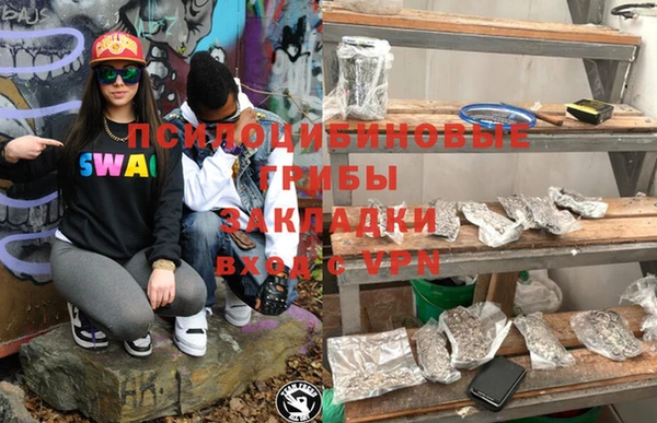 шишки Абдулино